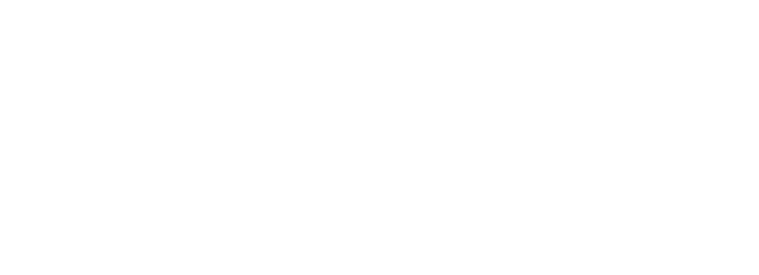 BMB Landscape & irrigation white logo