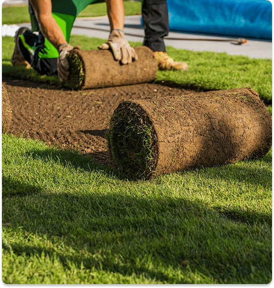 landscaping services done by experienced landscaping contractors